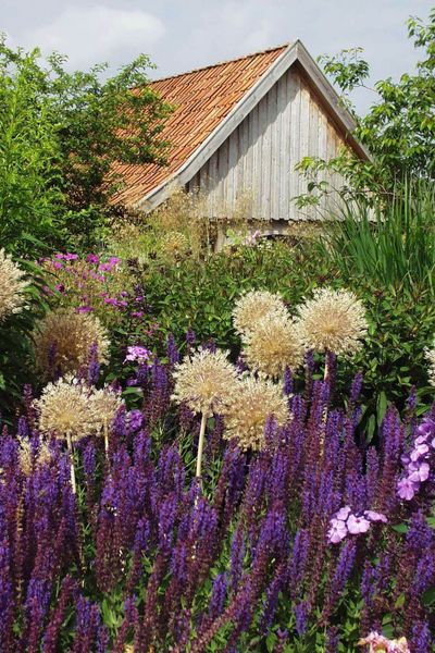 Ernst-Pagels-Garten mit Schnittlauchblüten vor einer Gartenhütte im Park der Gärten